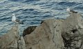 DSC00743 00